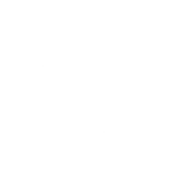 studio fracchia revisore conti